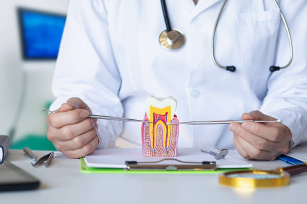 Best Pediatric Emergency Dentist in Hamlet, NC